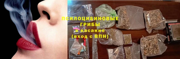 PSILOCYBIN Абаза