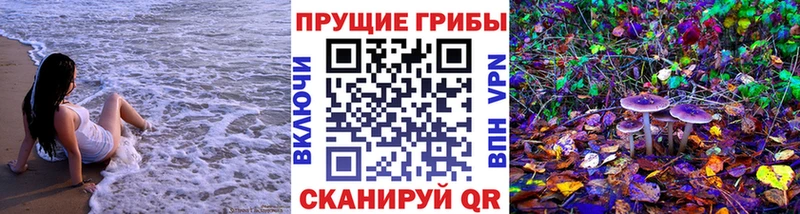 купить закладку  кракен маркетплейс  Псилоцибиновые грибы MAGIC MUSHROOMS  Инза 